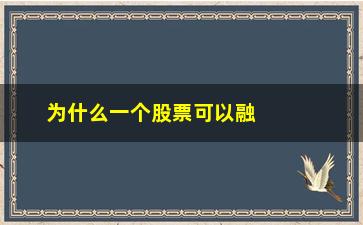 “为什么一个股票可以融资融券